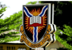 UI LOGO