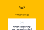 mtn scholarship