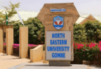 North-Eastern University