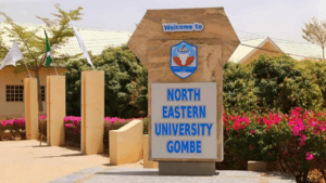 North-Eastern University